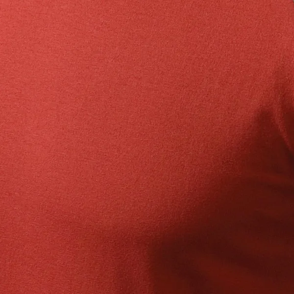 Contrasterend T-shirt voor heren met lange mouwen - 100% katoen voor maximaal comfort